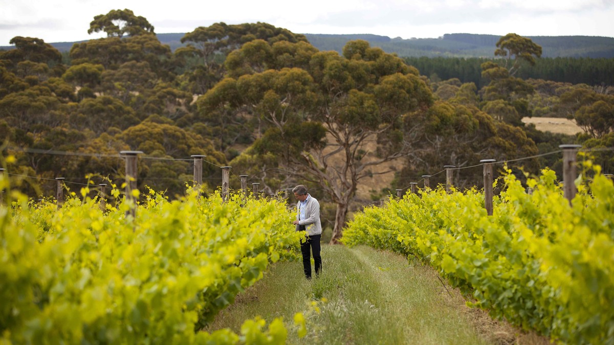 Includes a wine tasting experience in your Kangaroo Island holiday plan