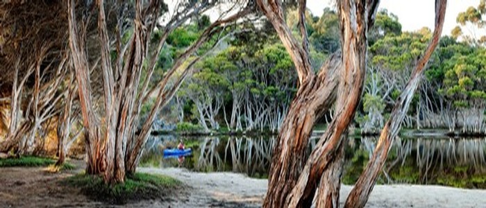 Antechamber Bay