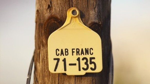 Vineyard Label at The Islander Estate Vineyards