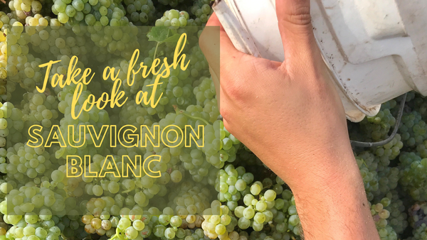 Take a fresh look at Sauvignon Blanc graphic