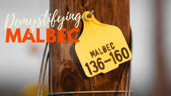 Malbec grape tag