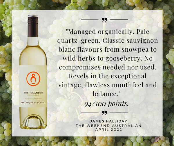 Sauvignon Blanc graphic