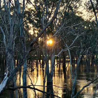 Sunset over Cygnet River