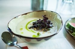 Vegetable Soups